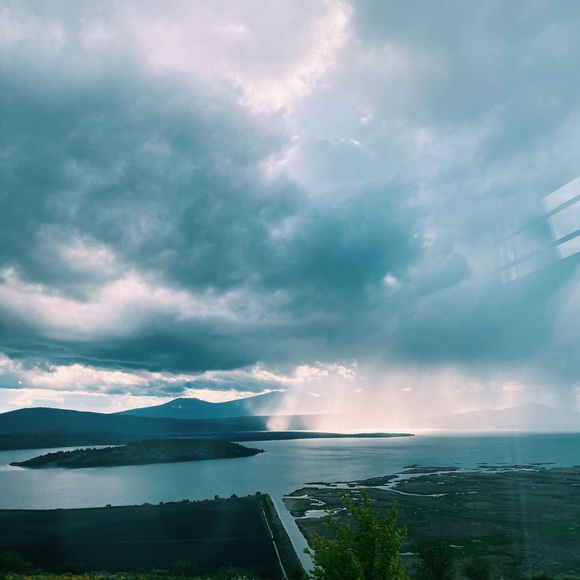 Meet your Posher, Alexis - Picture 1 of 1